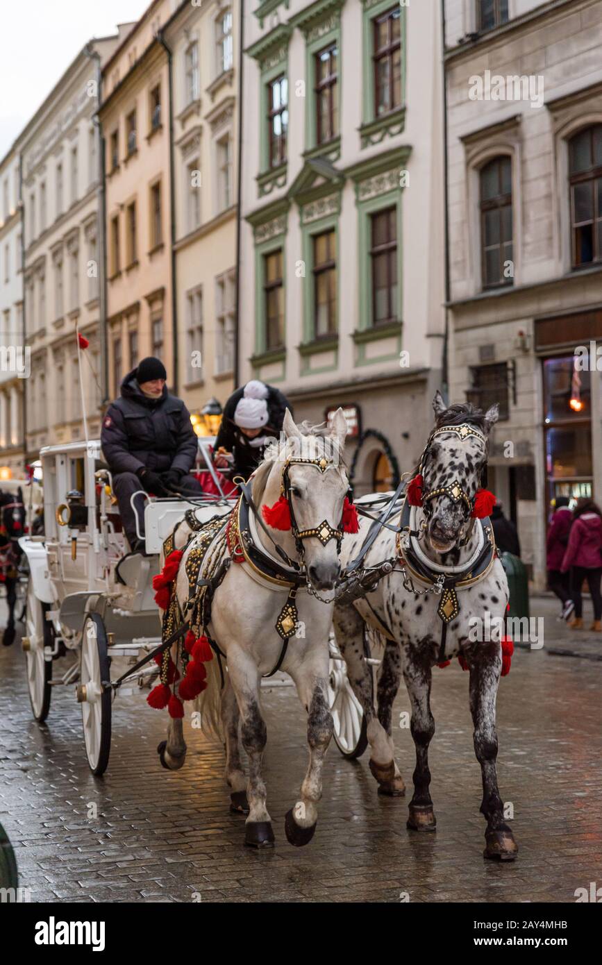 Pferd und Kutsche in Krakow, Polen Stockfoto