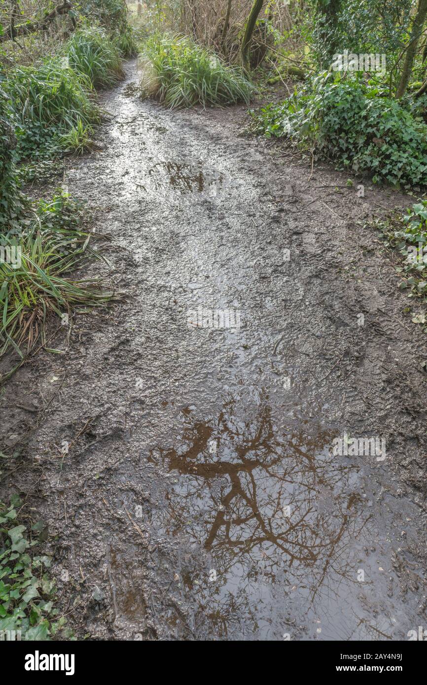 Nasser schlammiger Landweg/Pfade mit Pfütze, die nahe gelegene Bäume widerspiegeln. Metapher für die Winterwettersaison, Reflexionen, reflektierte Bäume, rauer Track. Stockfoto