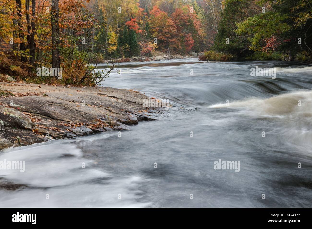 Kleine Stromschnellen und bunter Herbstwald am Fluss Oxtongue Stockfoto