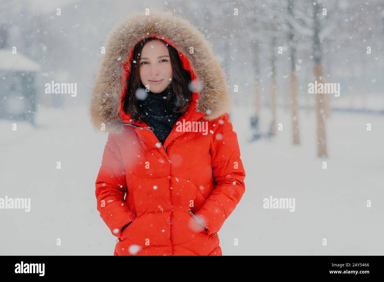 Schönes Frauenmodell in roter Jacke, stodiert im Schnee im Freien, sieht mit dunklen Augen vor der Kamera aus, geht mit Freund spazieren, atmet frisch Stockfoto