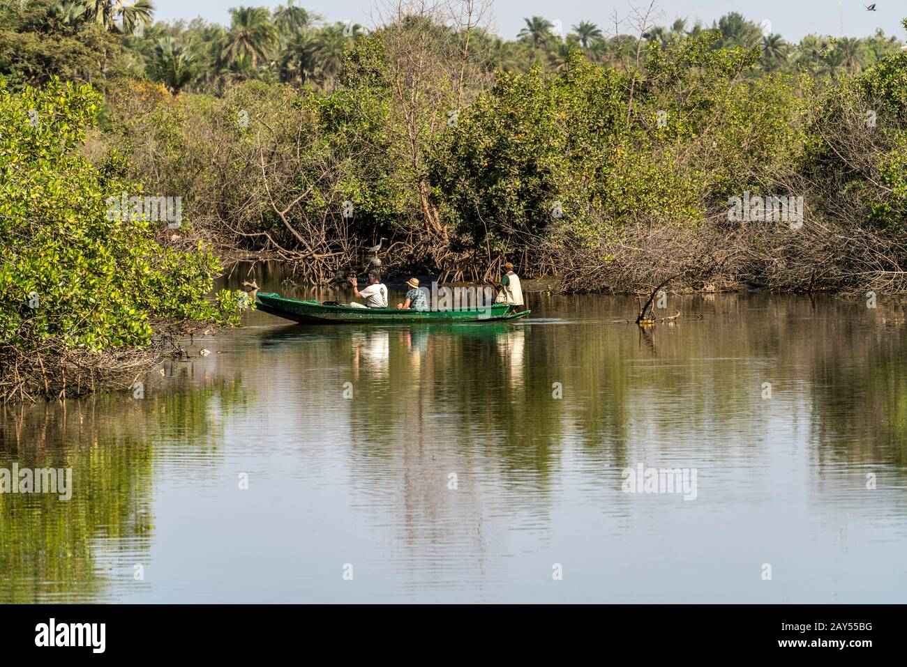 Touristen mit Kanu auf dem Kotu Fluss beim Völgel beobachten und fotografen, Kotu, Kanifing, Serekunda, Gambia, Westafrika Touristen mit Kanu auf Stockfoto