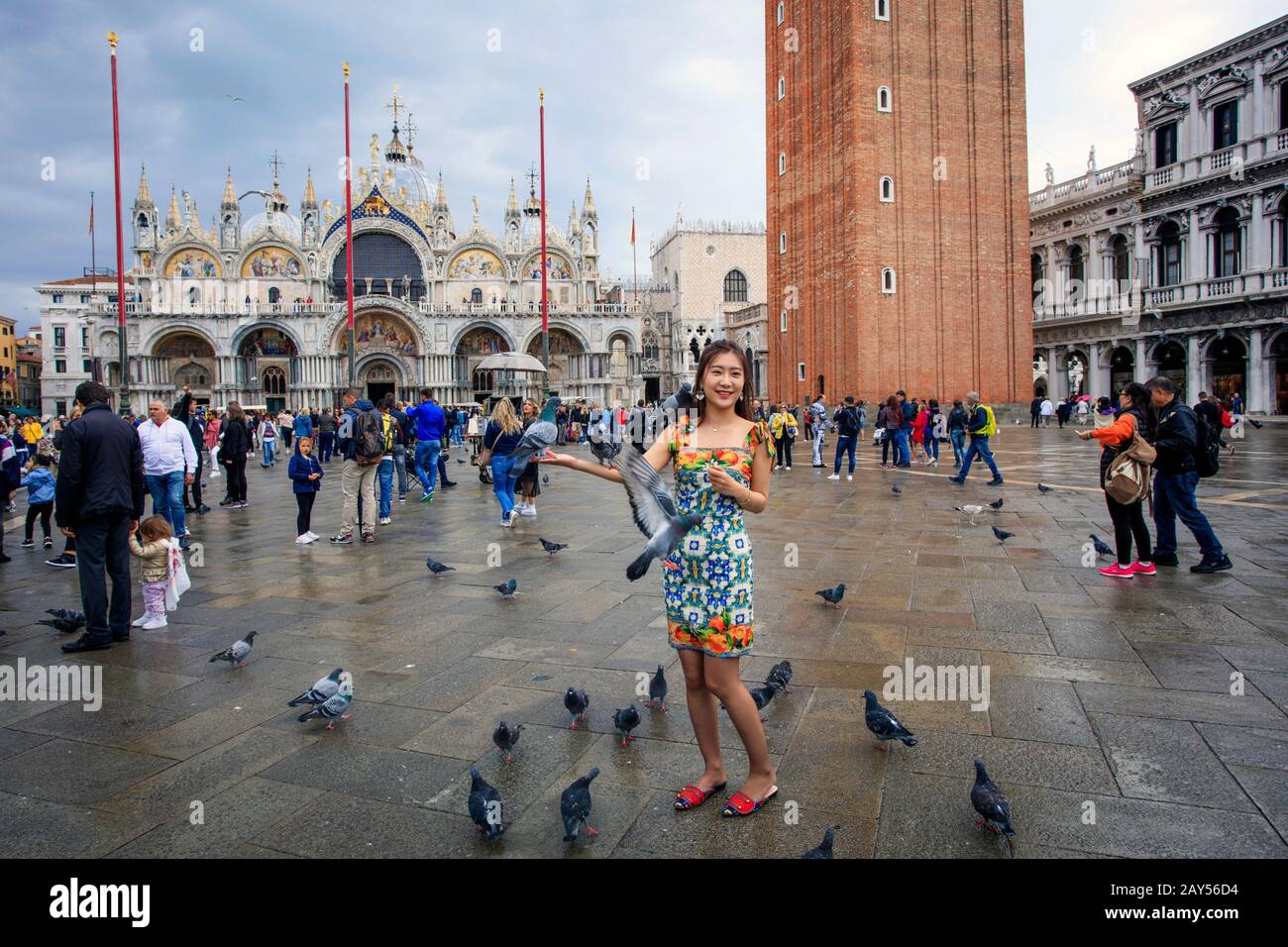 Ein chinesischer Tourist posiert mit Tauben an einem regnerischen Tag vor dem Markusdom. Markusplatz. Venedig. Italien Stockfoto