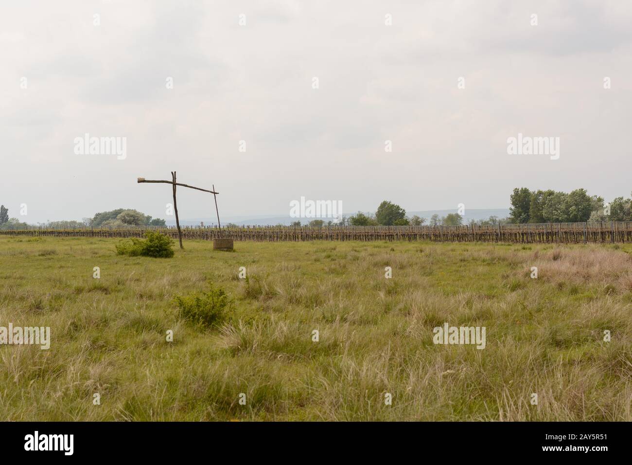 Historisches Remis mitten im Weinanbaugebiet burgenland - Österreich sehenswert Stockfoto