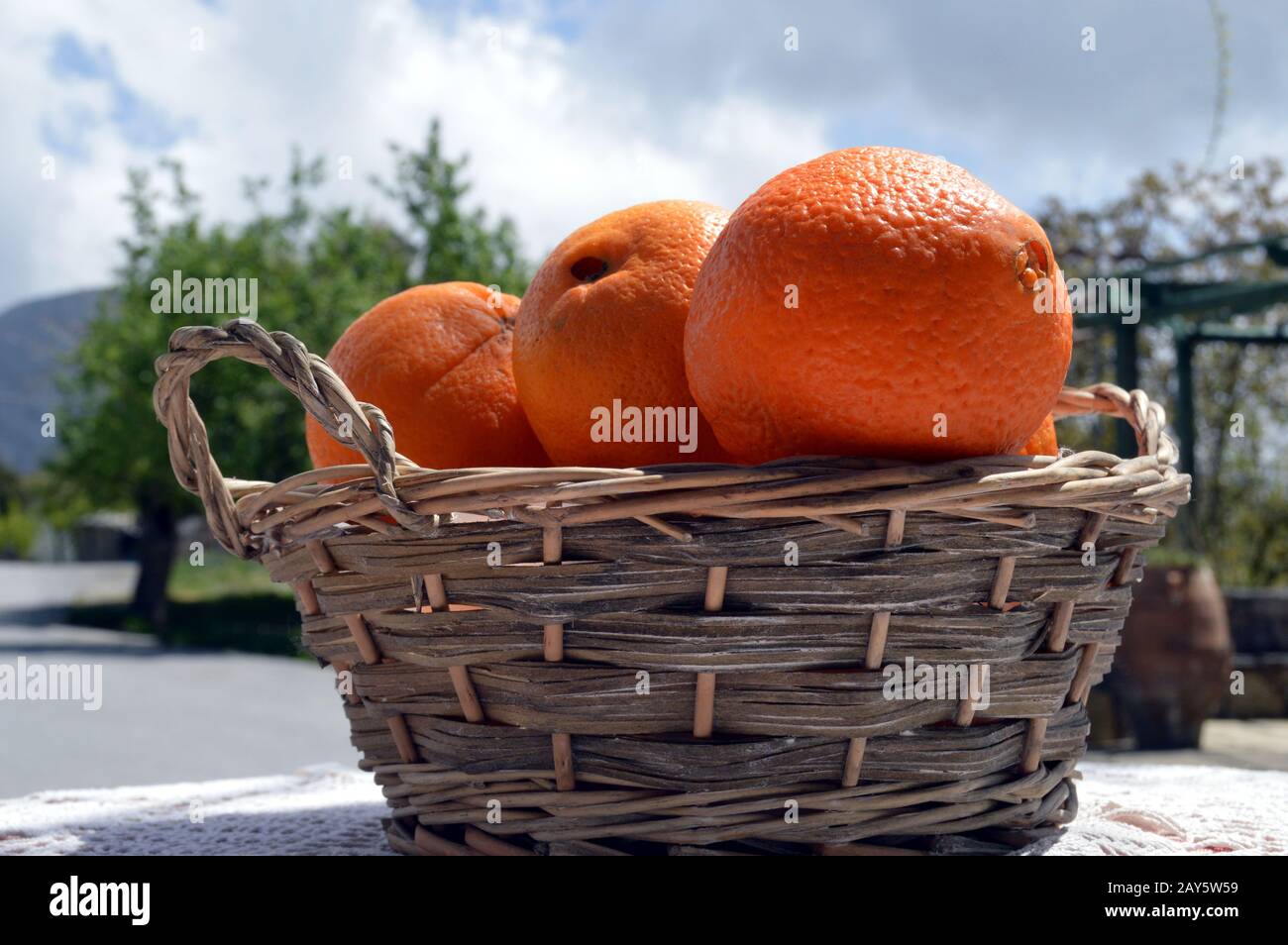 Mehrere Orangen-bios in einem Korb in wicker in der Crèta. Stockfoto