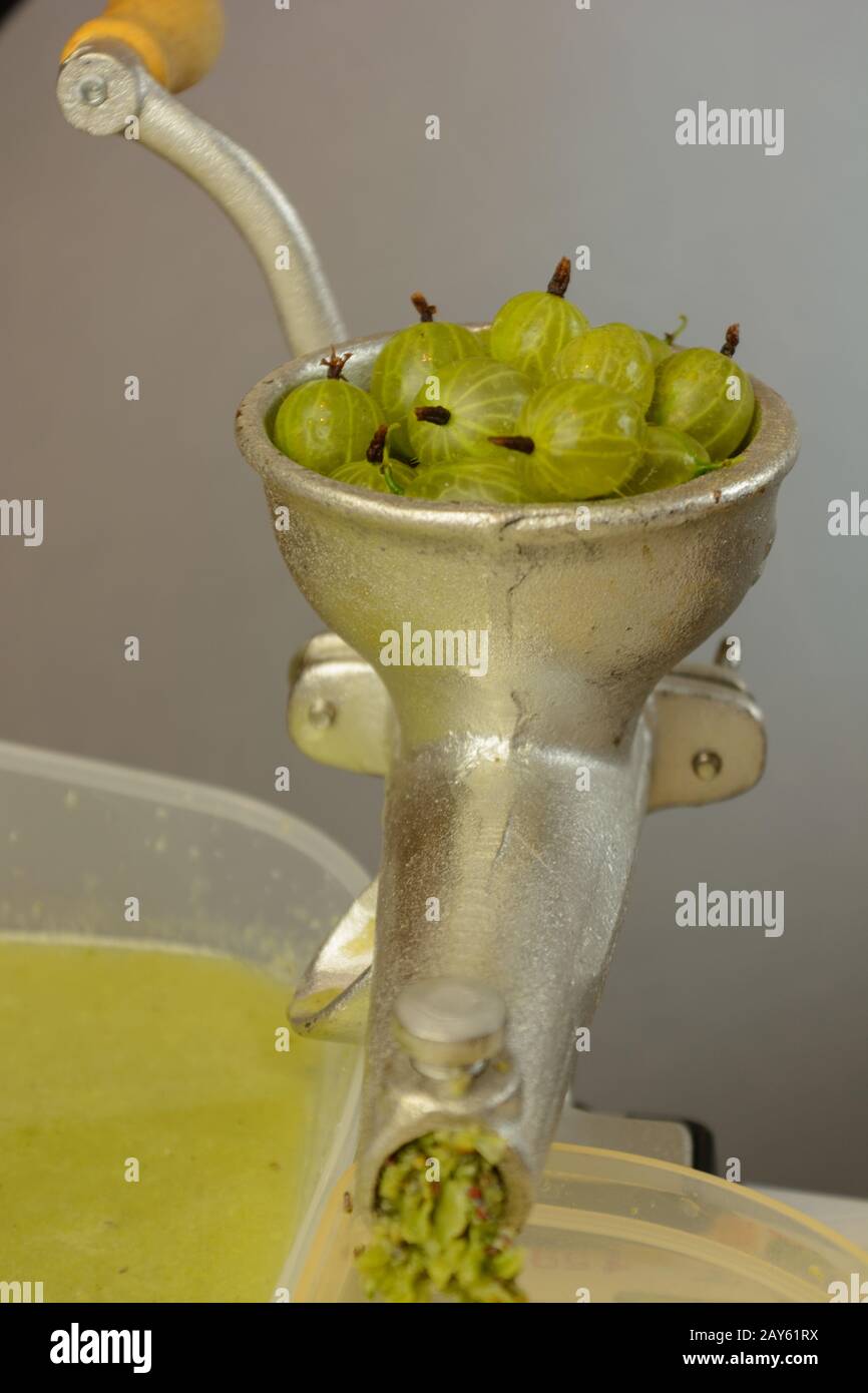 Obstpresse wird verwendet, um grüne Stachelbeeren zu pressen - Nahaufnahme Stockfoto