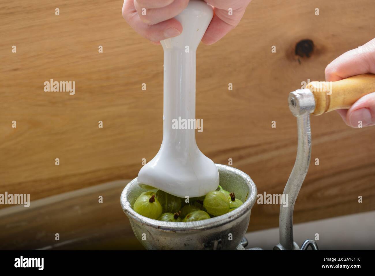 Grüne Stachelbeeren werden in einer Beerenpresse - Nahaufnahme - ausgeduftet Stockfoto