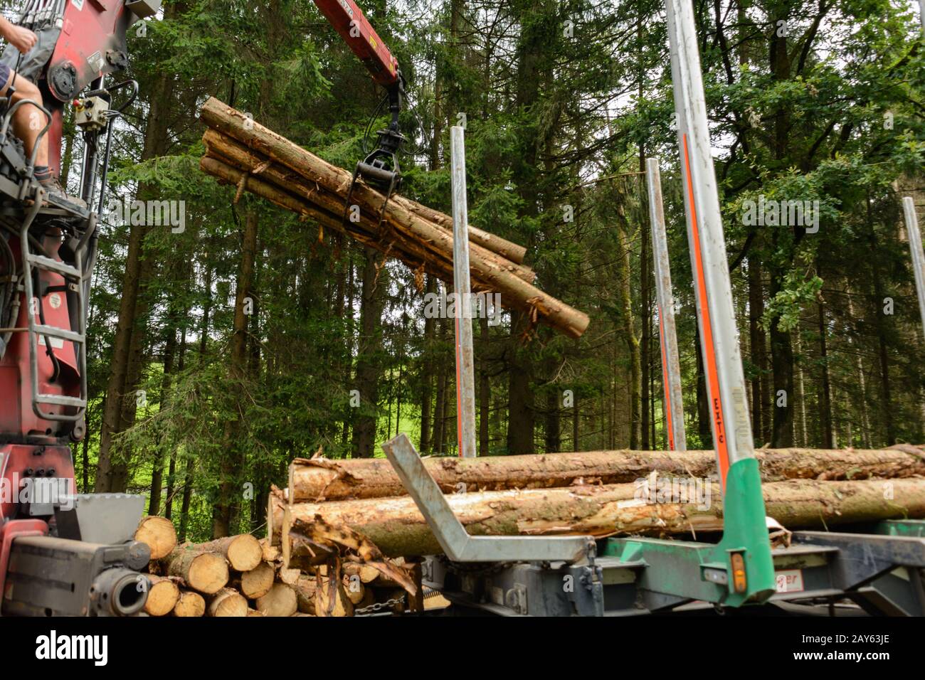 Forstwirtschaft - Blocholz wird per Kran auf Transporter geladen Stockfoto