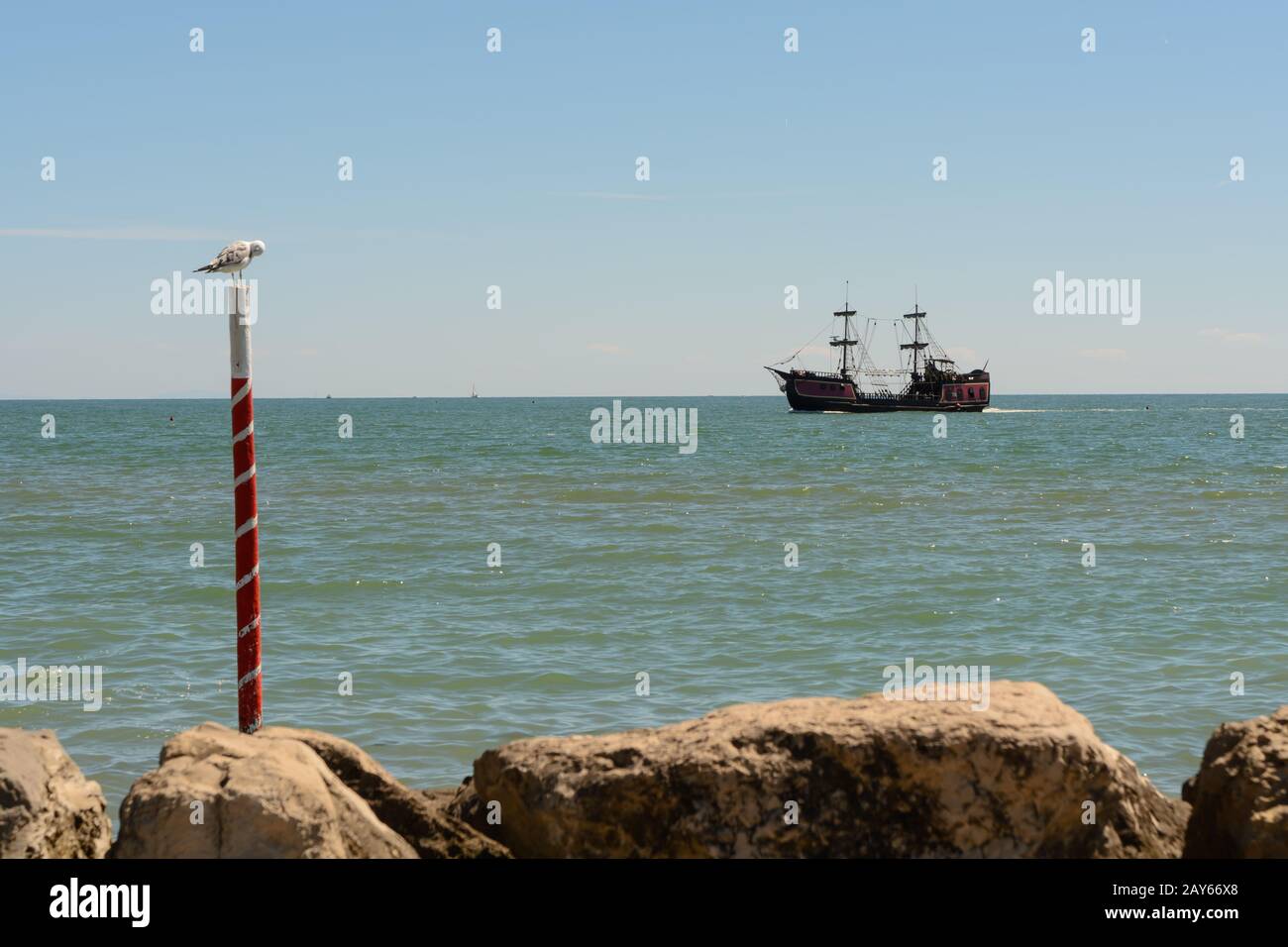 Altes Piratenschiff und Möwe in Küstennähe - Italien Stockfoto