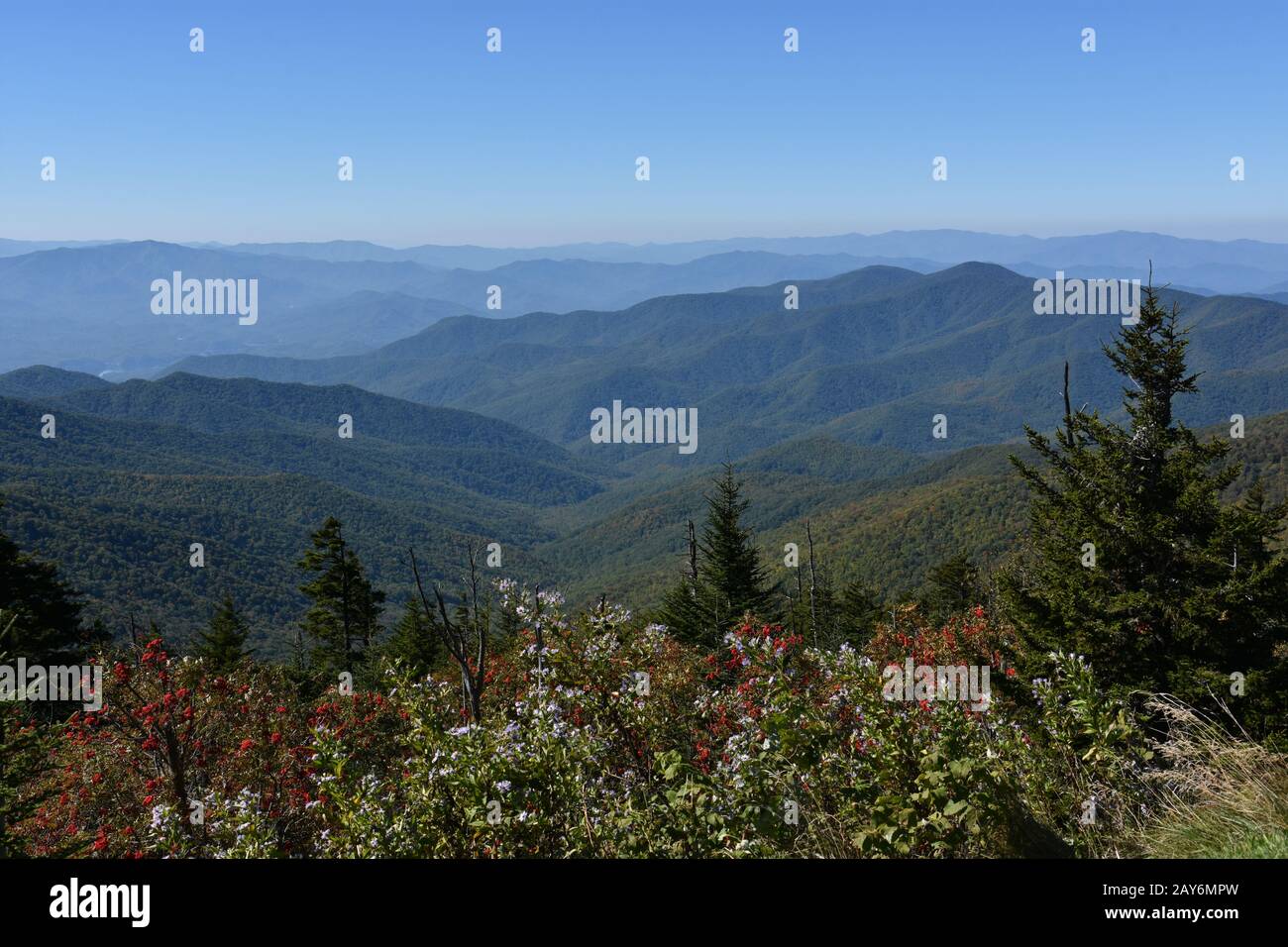 Blick vom Clingmans Dome im Great Smoky Mountains National Park in Tennessee Stockfoto
