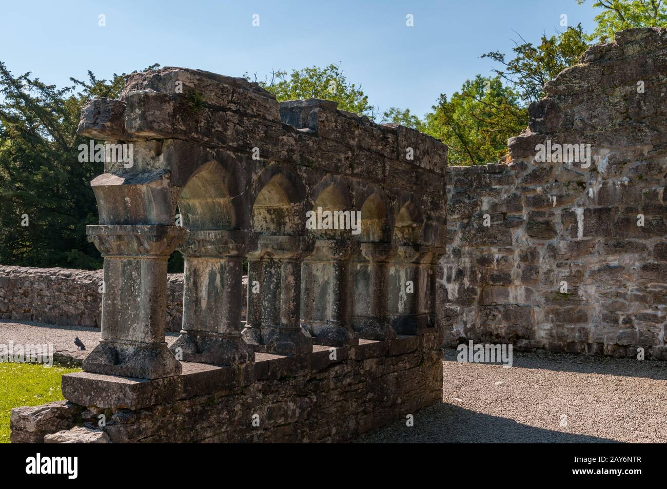 Irland, Augustiner-Chorherrenstift von Cong. Sie wurde Anfang des 12. Jahrhunderts gegründet, von Turlough O'Connor, dem damaligen Hohen König von Irland, bis hin zum Ort Wher Stockfoto