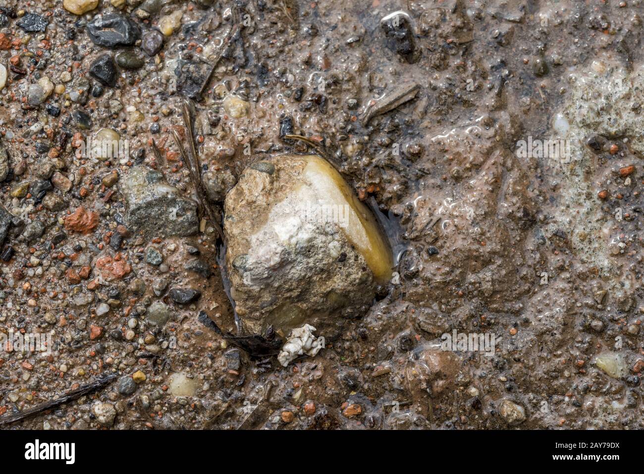 Nasser Sandboden mit Kieselstein als Hintergrund Stockfoto