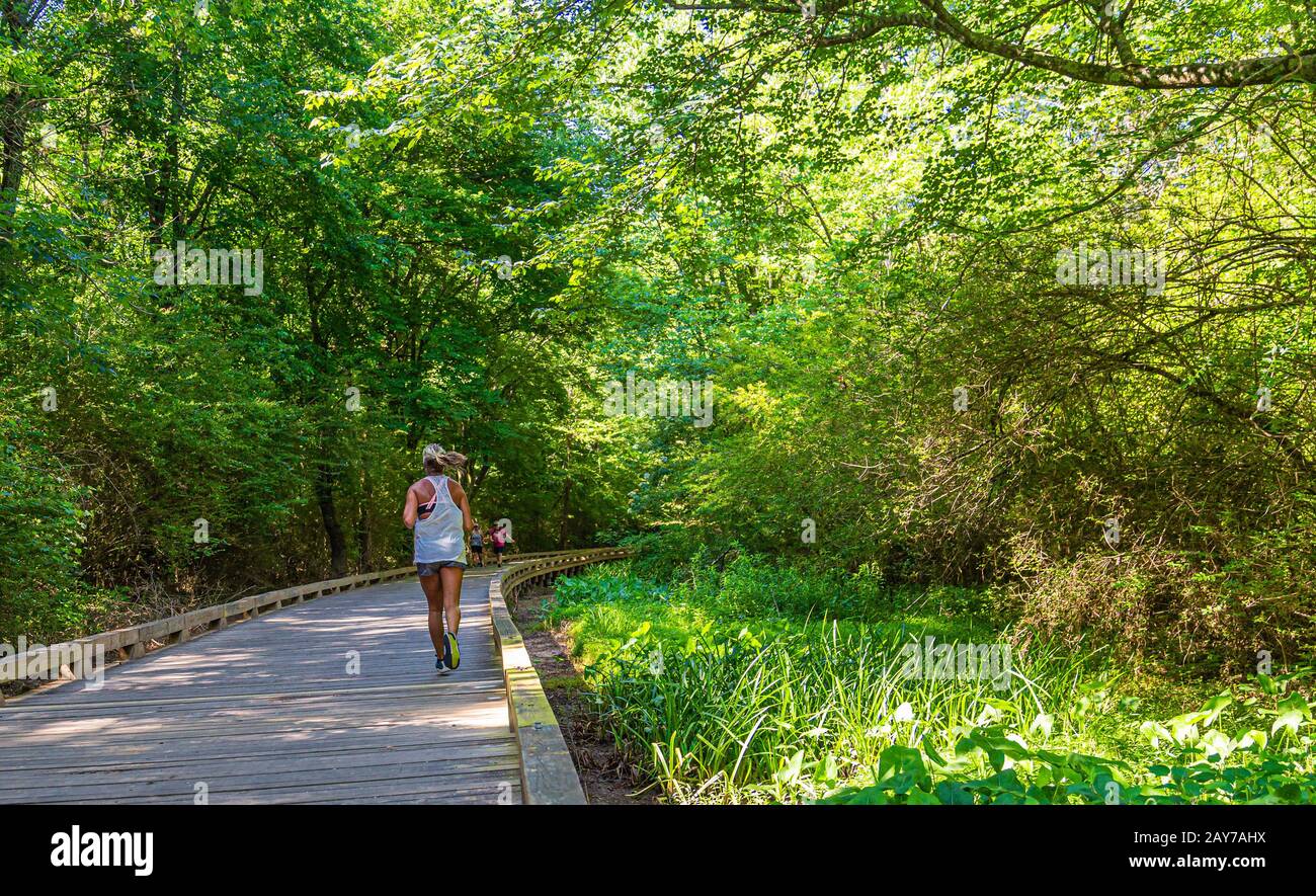 Läufer auf dem Woodland Trail Stockfoto