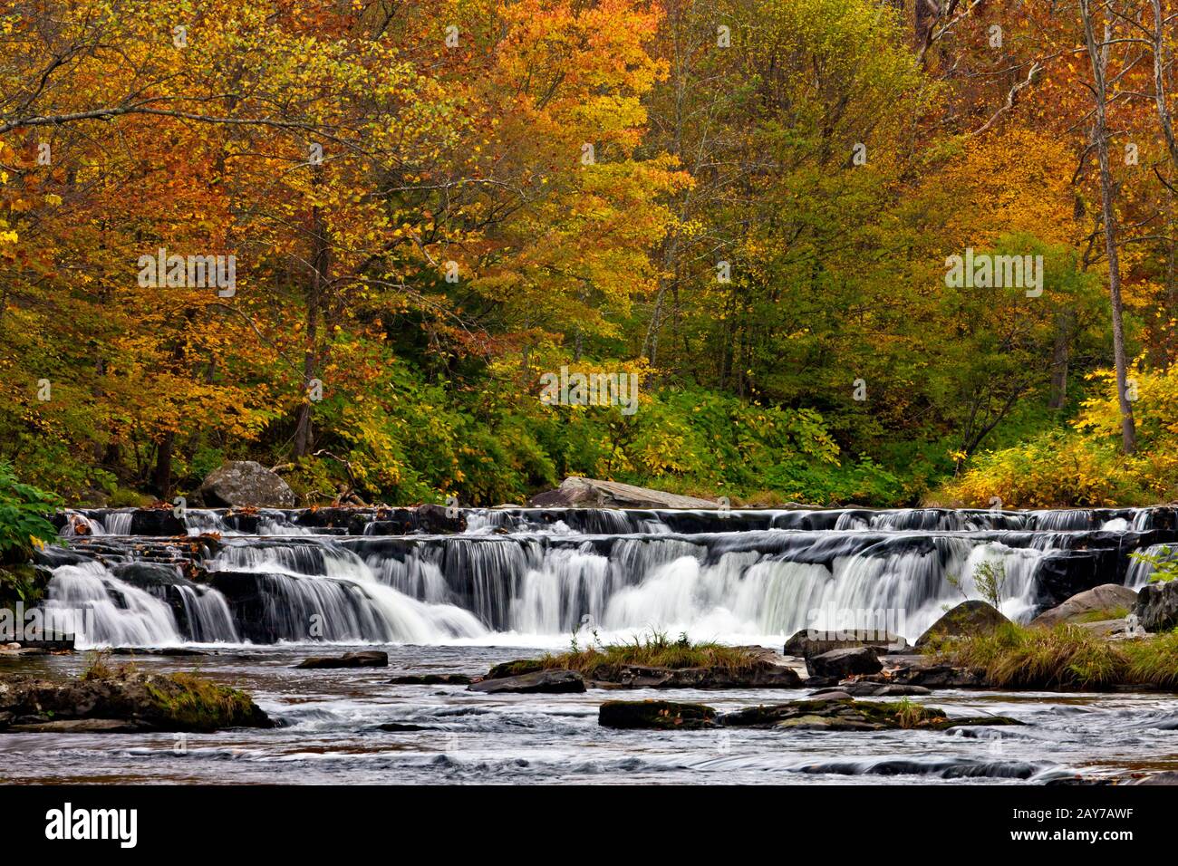 Die Brodhead Creek Wasserfälle in den Pocono Mountains von Pennsylvania Stockfoto