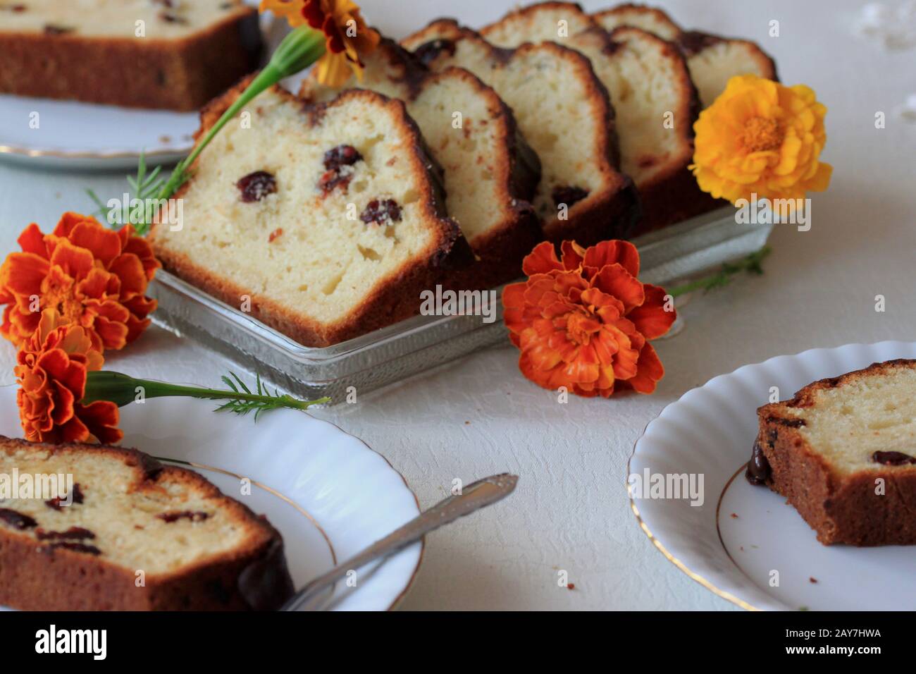 Köstlicher und hausgemachter Preiselbeerkuchen. Joghurt Kuchen mit Trockenobst. Tee und Kaffeekuchen. Leichter und flauschiger Kuchen. Stockfoto