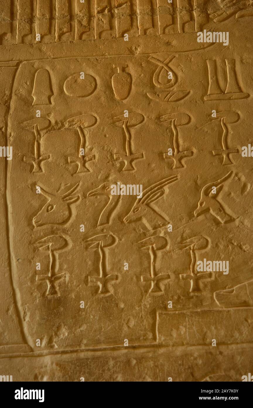 Altes Königreich Ägypten. Dynastie. Mastaba von Iynefert (courtesan). Hieroglyphen mit numerischen Zeichen, die die Opfermenge angeben. Die Nekropole von Saqqara. Unterägypten. Stockfoto
