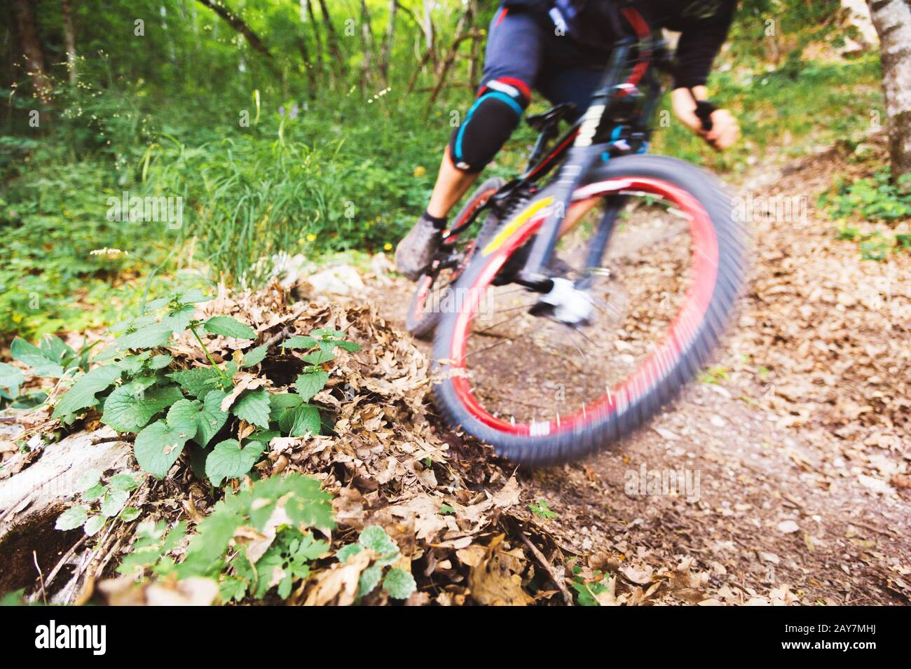 Sport. Ein Radfahrer mit einem Mountainbike-Rad im Wald Stockfoto