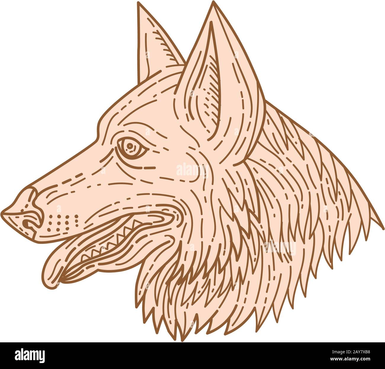 Deutscher Schäferhund Kopf Mono Line Stockfoto