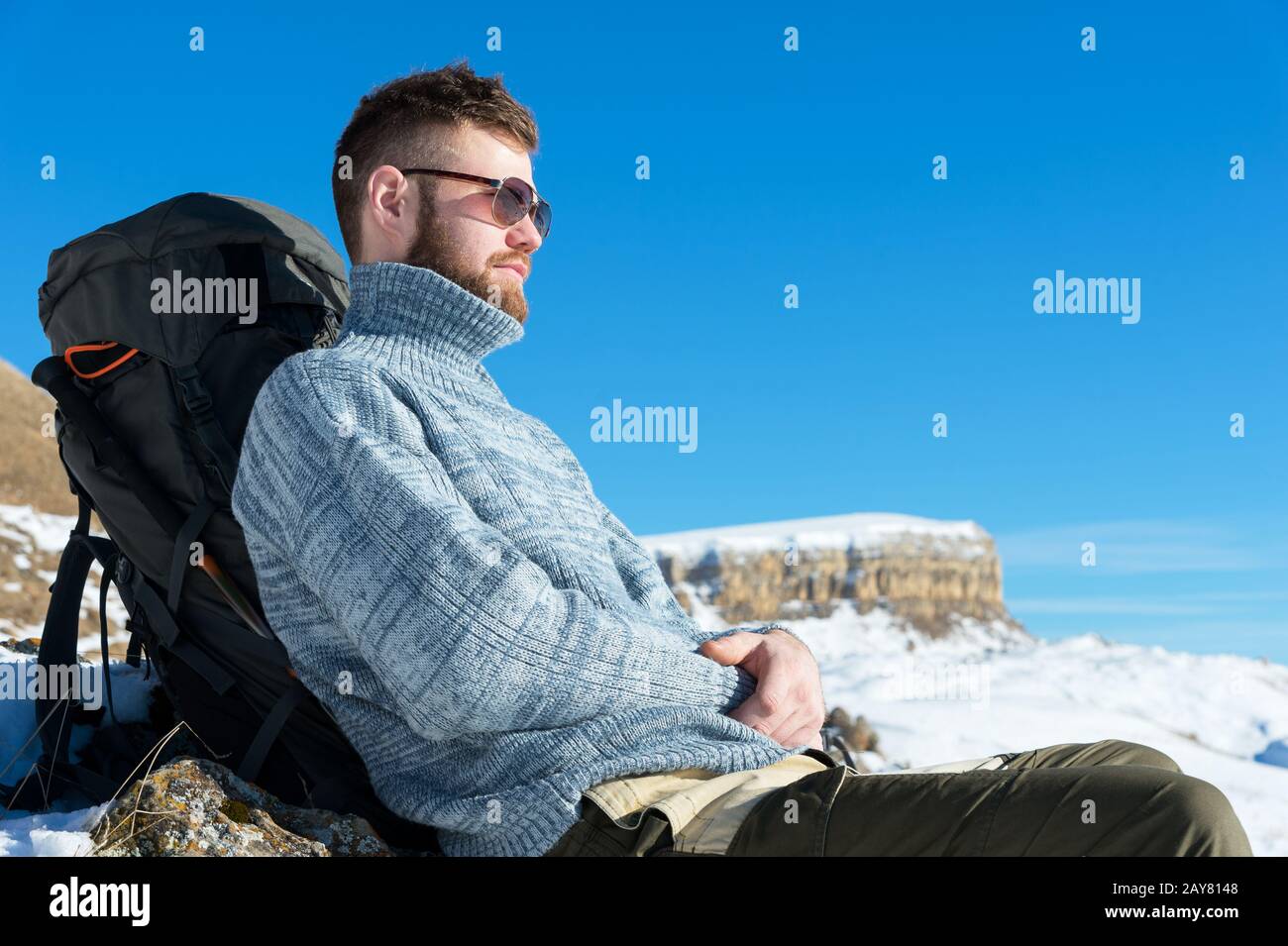 Porträt eines Reisenden Flusspferdes in einer Sonnenbrille und eines gestrickten grauen Pullovers, der vor dem Hintergrund einer schönen Winterlandschaft ruht Stockfoto