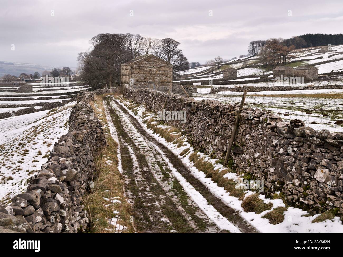 Schneebedeckte Landschaft Winter Yorkshire Dales in der Nähe von Hawes in Wensleydale, mit Trockenmauern und traditionellen Feldbars. Stockfoto