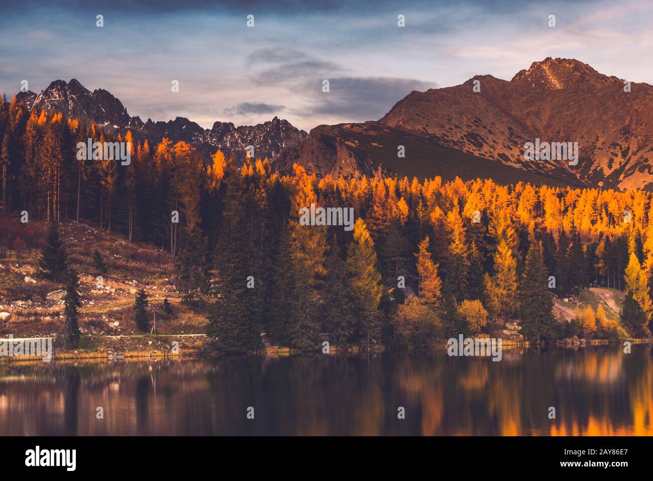 Herbstfarben auf Wald über See in Hochbergen Stockfoto