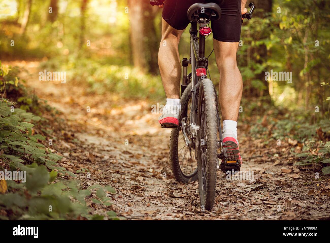 Niedriger Blickwinkel auf das Motorrad des männlichen Radfahrers.Frühling, Natur, Sportkonzept Stockfoto