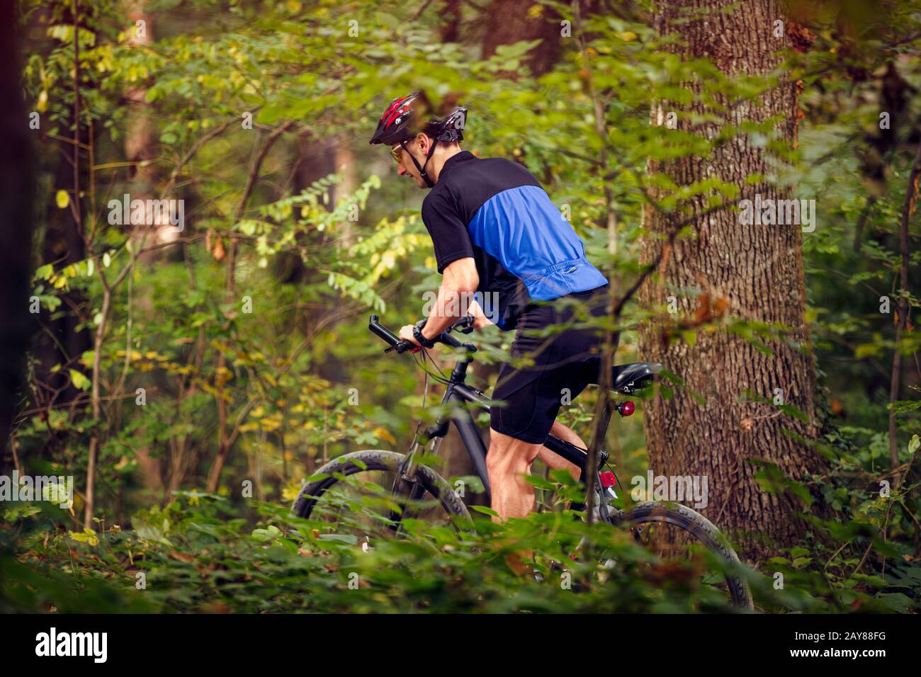 Radfahrer im grünen Wald fahren Fahrrad und tragen Schutzkleidung.Frühling, Natur, Sportkonzept Stockfoto