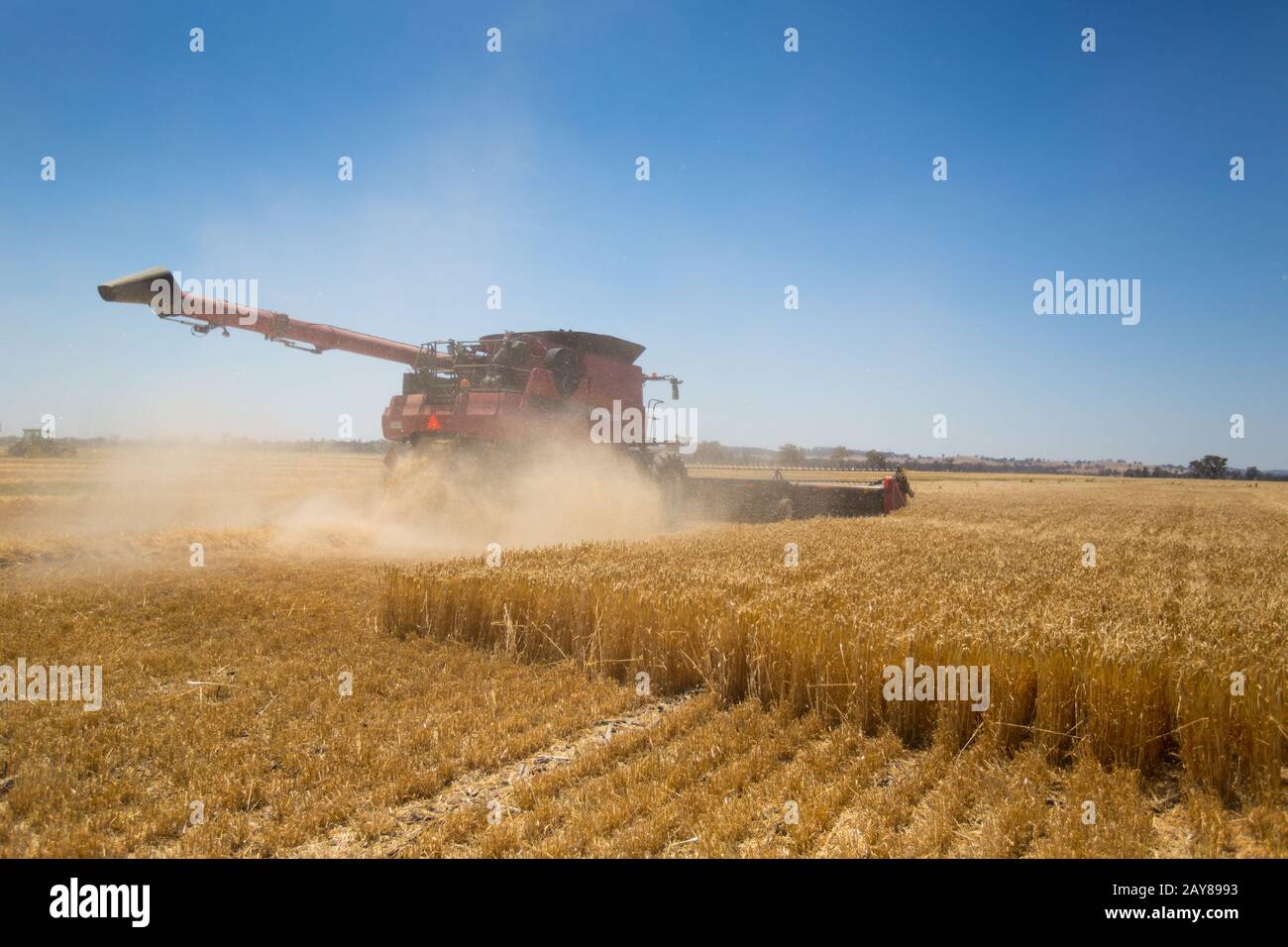 Getreideernte Stockfoto
