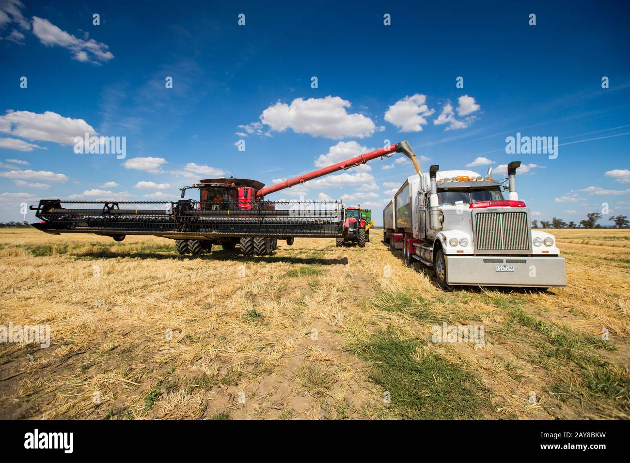 Getreideernte Stockfoto