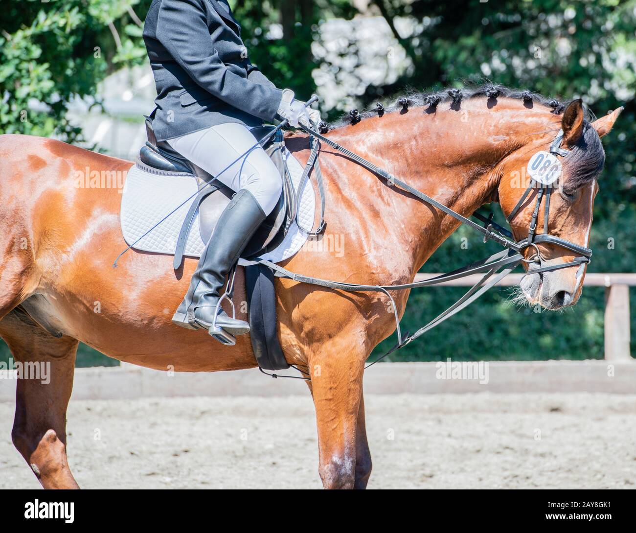 Reitsport Dressurreiten auf einem Dressurplatz Stockfoto