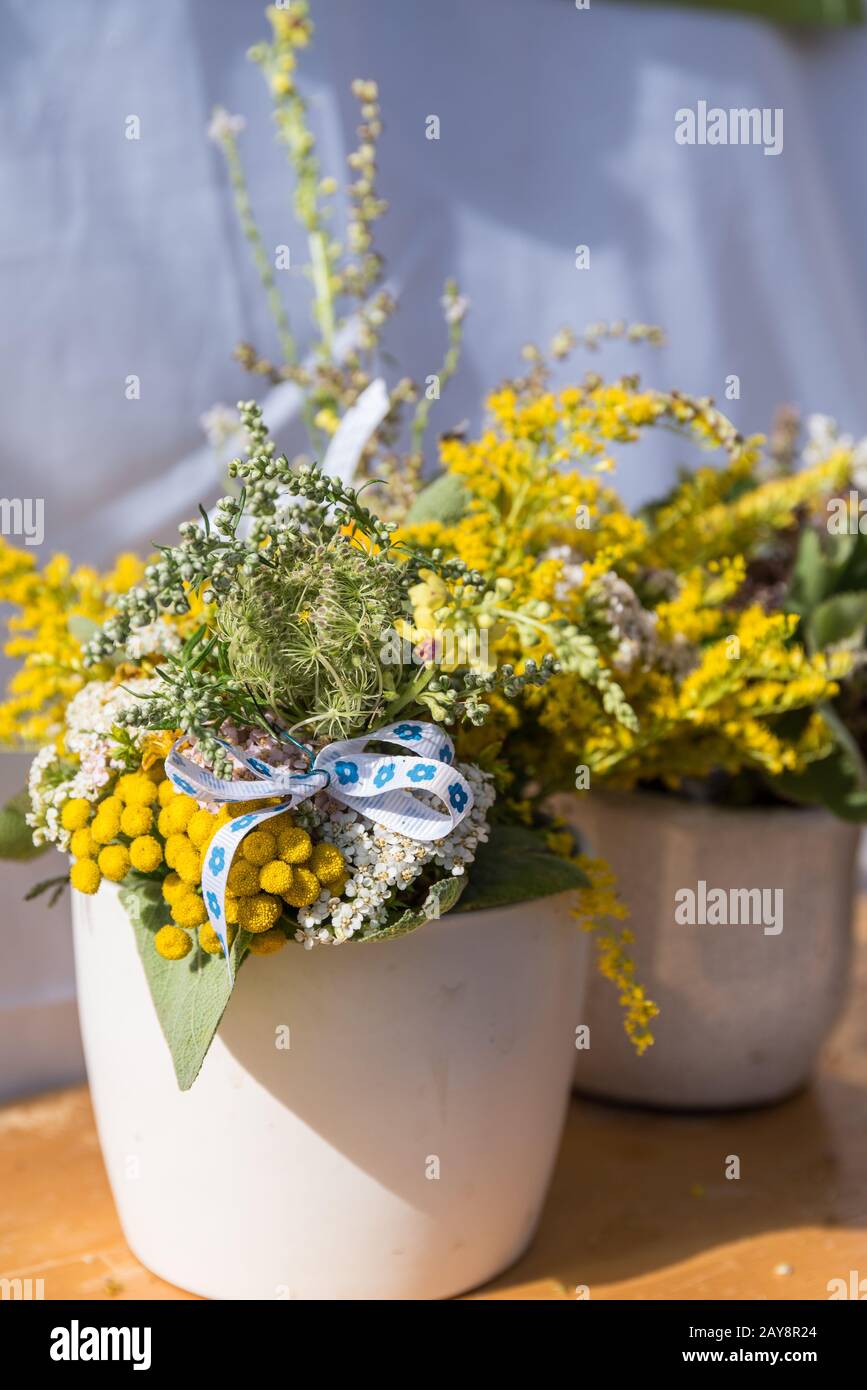 Blühende Kräuter und kleine Blumen als Blumenstrauß in einem Blumentopf Stockfoto