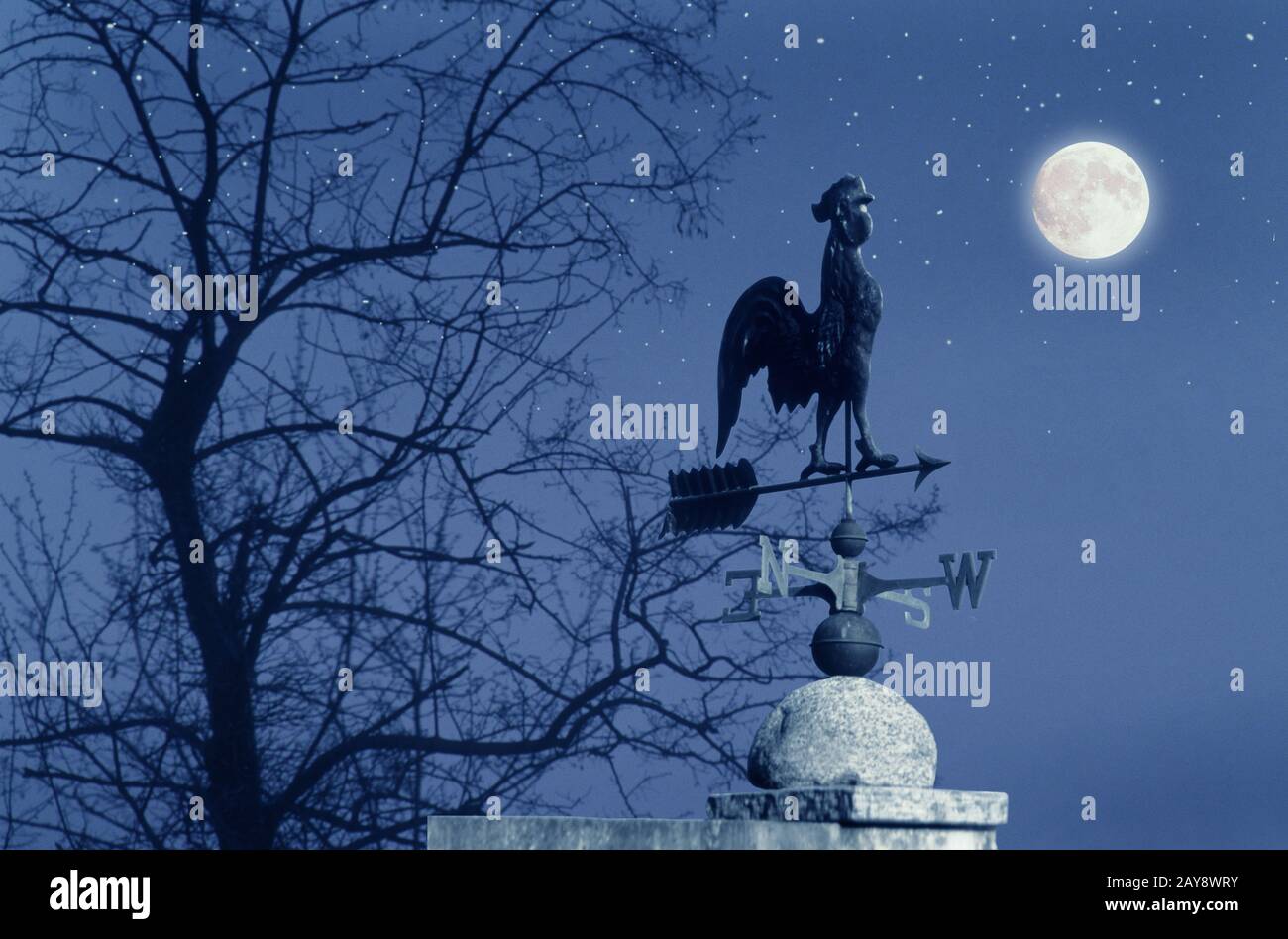 Wetterhahn und Windrose Stockfoto