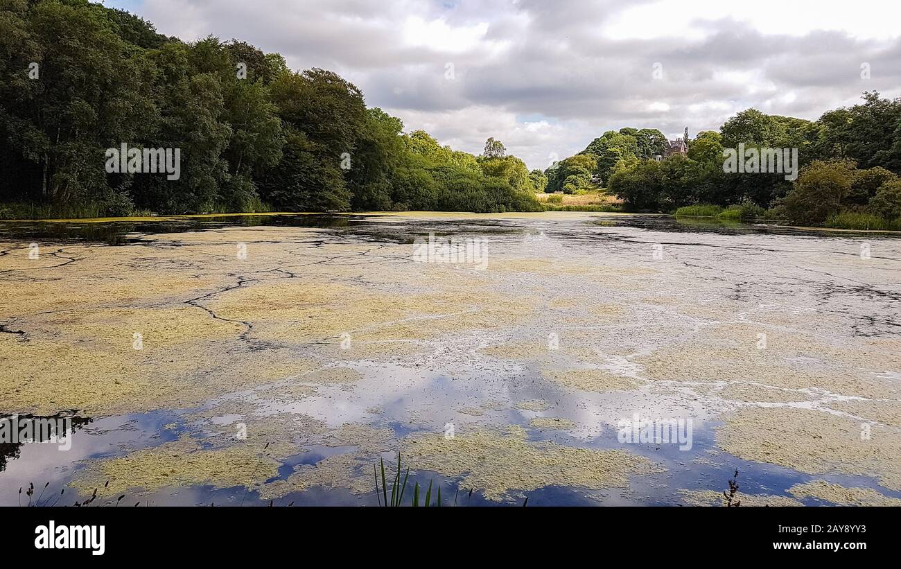 Teich in der Nähe der Admissions Hut in Lyme Park, Disley in Cheshire, Großbritannien Stockfoto