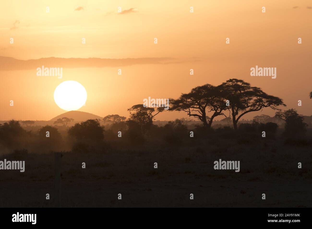 Sonnenuntergang in der Afrikanischen Savanne in der trockenen Jahreszeit vor dem Hintergrund der Hügel und Akazien Stockfoto