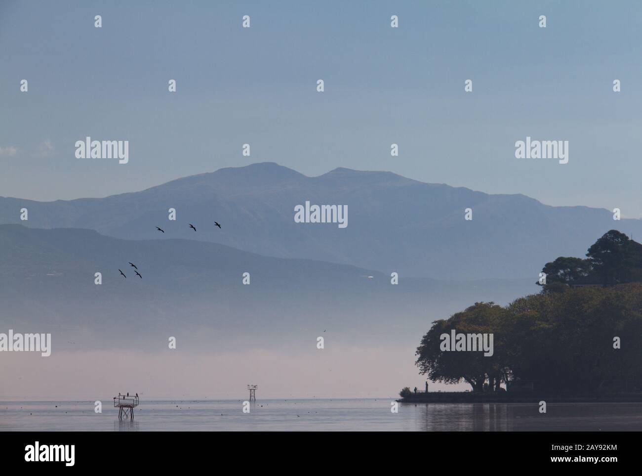 Vögel am Pamvotis-See an einem nebligen Morgen, Ioannina, Griechenland Stockfoto
