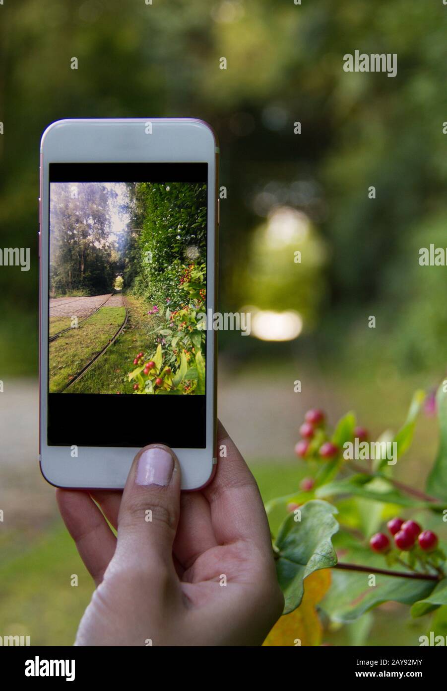Frau hände Handy-Foto von Bahnlinien in der Natur aus Stockfoto