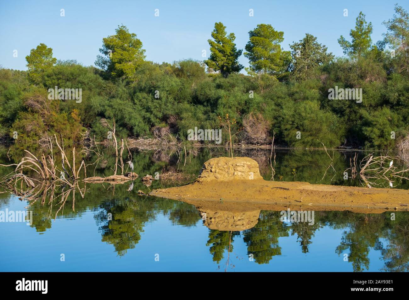 Panoramasicht auf den Athalassa-See auf Zypern mit schönen Lichtreflexionen Stockfoto
