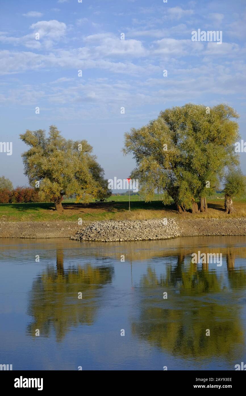 Am Ufer des Flusses Ijssel Stockfoto