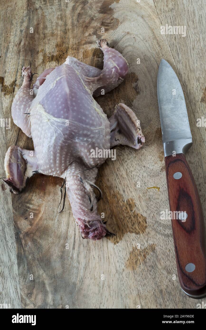 Eine rohe Wachtel Stockfoto