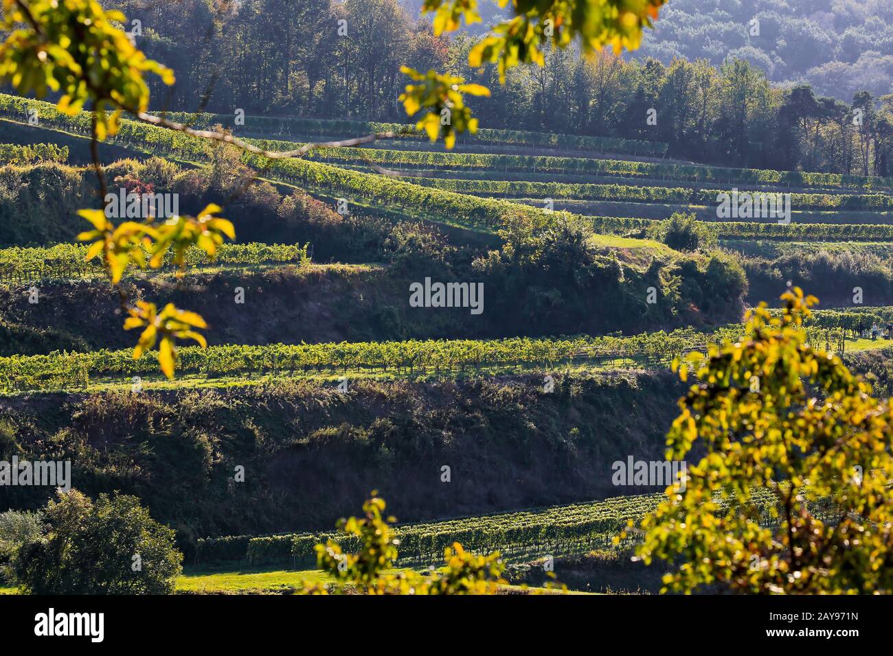 Kaiserstuhl ist ein Tal in Deutschland mit vielen wunderschönen Landschaften Stockfoto
