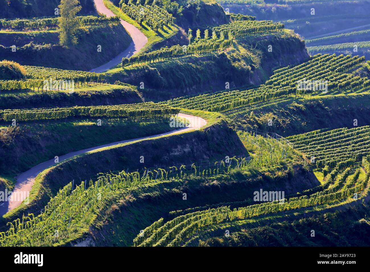 Kaiserstuhl ist ein Tal in Deutschland mit vielen wunderschönen Landschaften Stockfoto