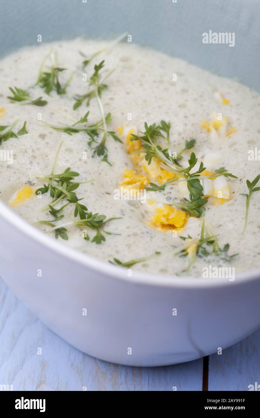 Frische Kervillsuppe mit Ei Stockfoto