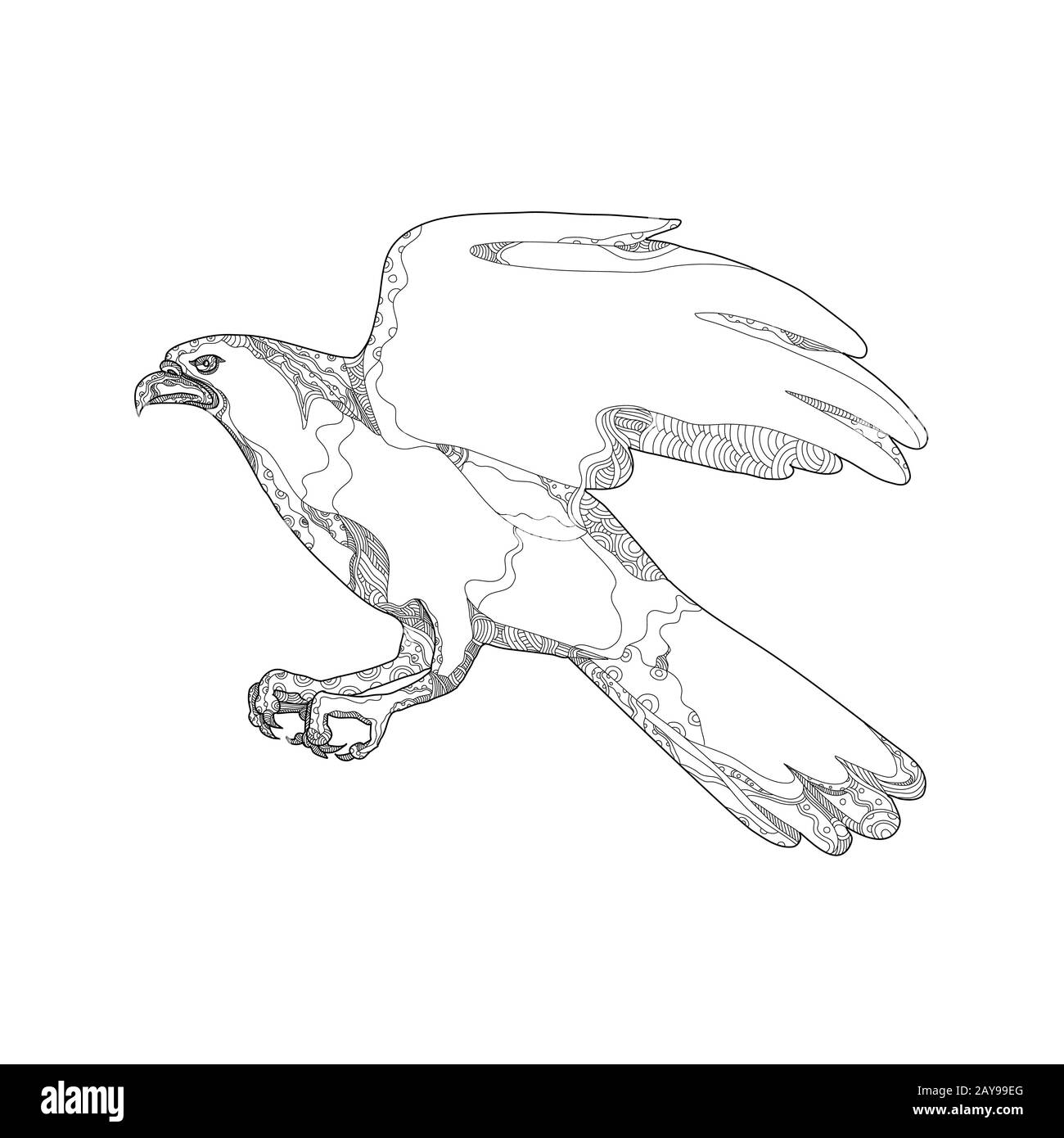 Northern Goshawk Swooping Doodle Kunst Stockfoto