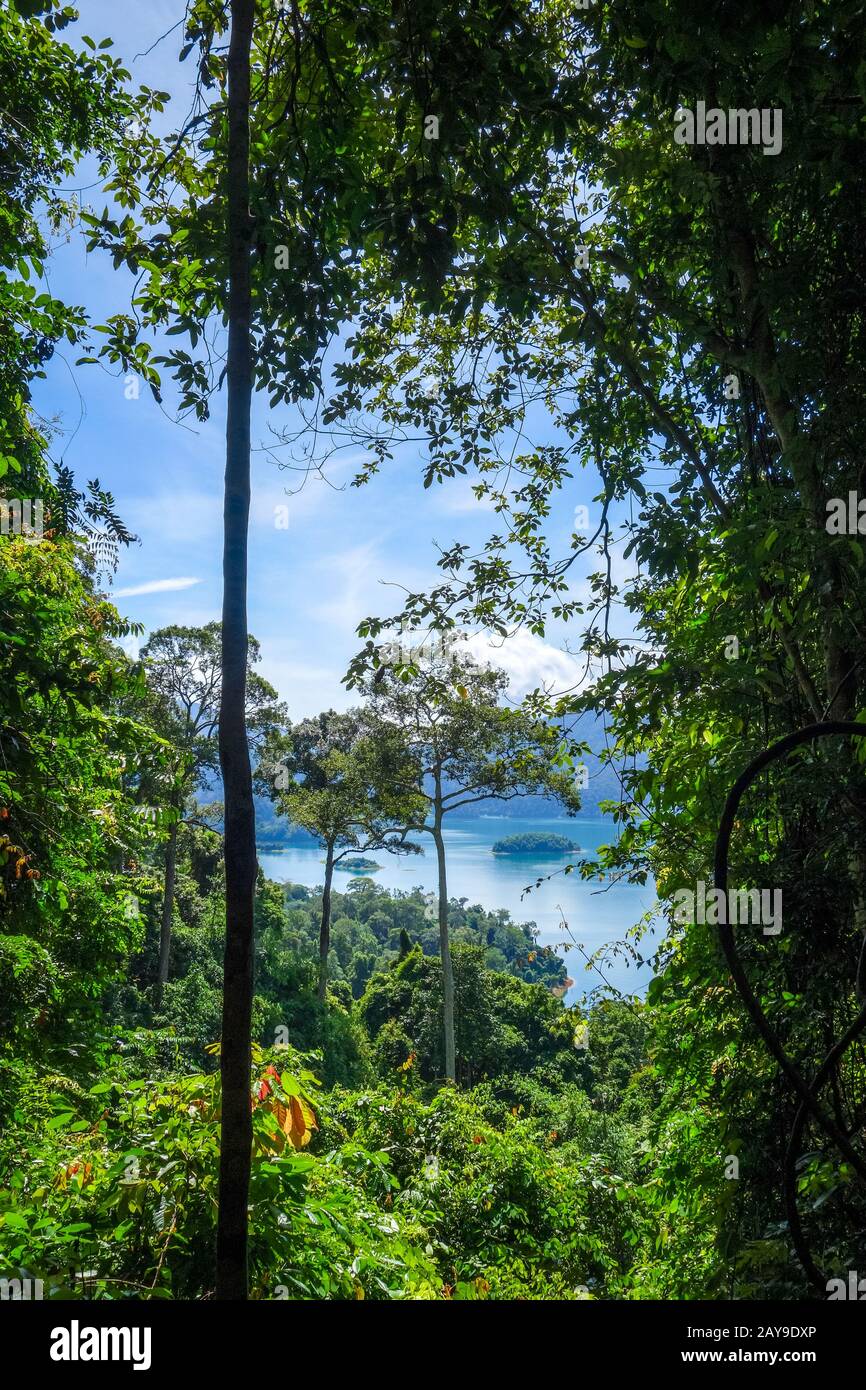 Cheow LAN Lake Dschungellandschaft, Khao Sok, Thailand Stockfoto
