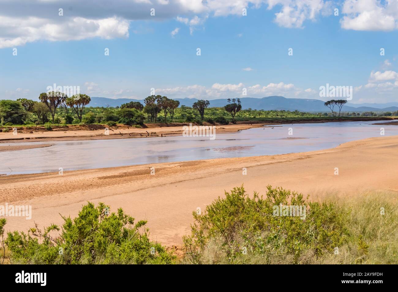 Blick auf den Fluss Ewaso Ng'iro Stockfoto
