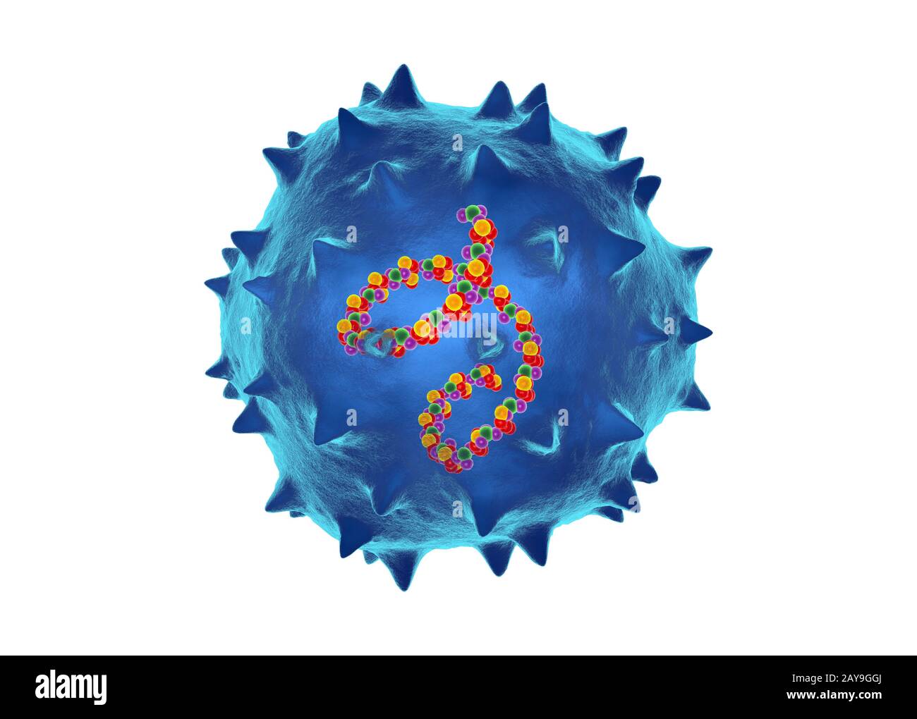 Nodamura Virus, Abbildung Stockfoto