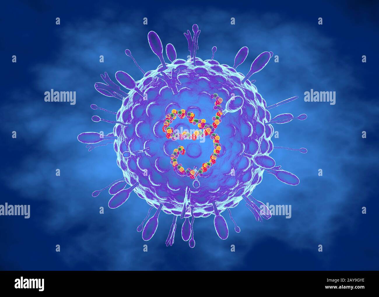 Humanes Parainfluenzavirus, Abbildung Stockfoto