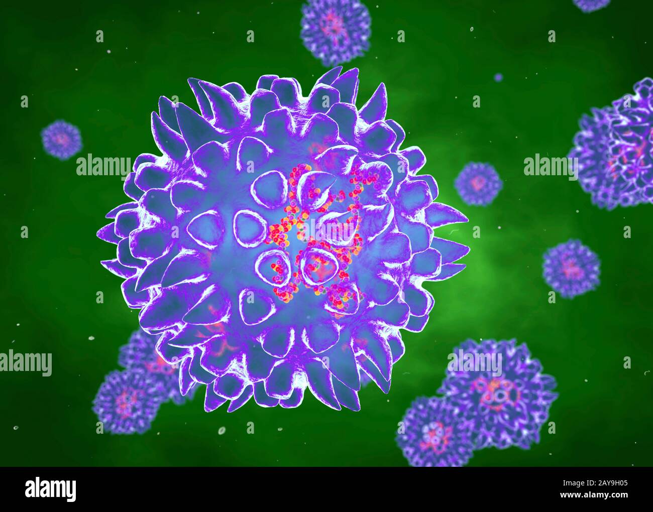 Rotaviren, Abbildung Stockfoto