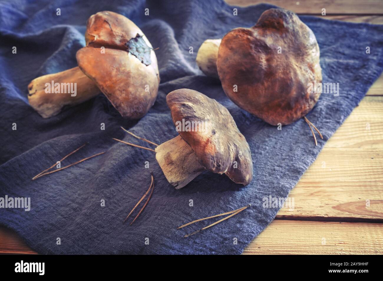 Pilze Steinpilze auf dem Tisch auf eine Serviette. Stockfoto