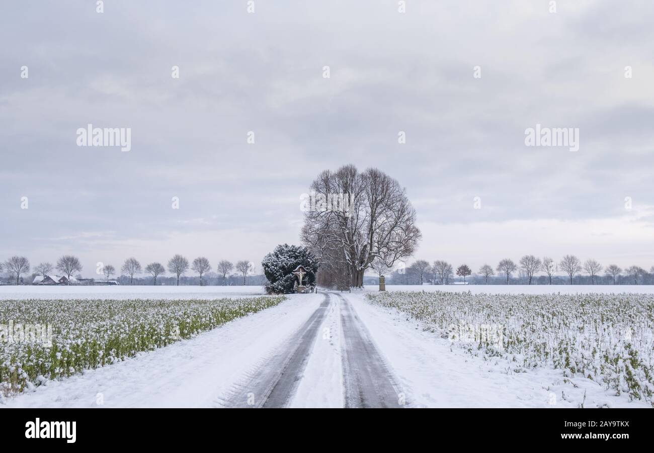 Winter im Münsterland Stockfoto