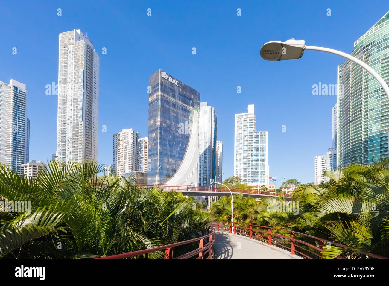 Fußgängerbrücken zwischen den Panama-Stadtpalmen an einem sonnigen Tag Stockfoto